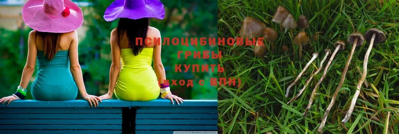 Псилоцибиновые грибы Magic Shrooms  ссылка на мегу как зайти  Нефтеюганск 